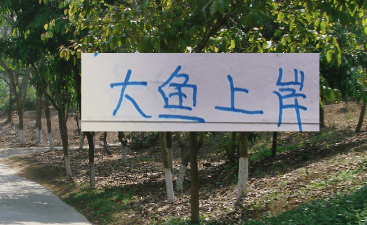 去年中超前5大鱼都上岸 北京国安是德甲大货 海港是本土标王